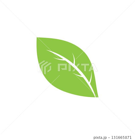 Logos of green Tree leaf ecology nature element vector 131665871