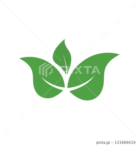 Logos of green Tree leaf ecology nature element vector Logos of green Tree leaf ecology nature element vector 131666019