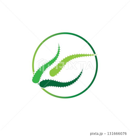 Aloe vera logo vector ilustration template Aloe vera logo vector ilustration template 131666076
