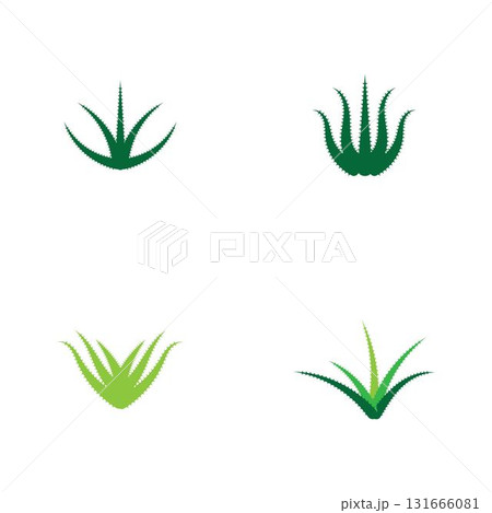 Aloe vera logo vector ilustration template 131666081