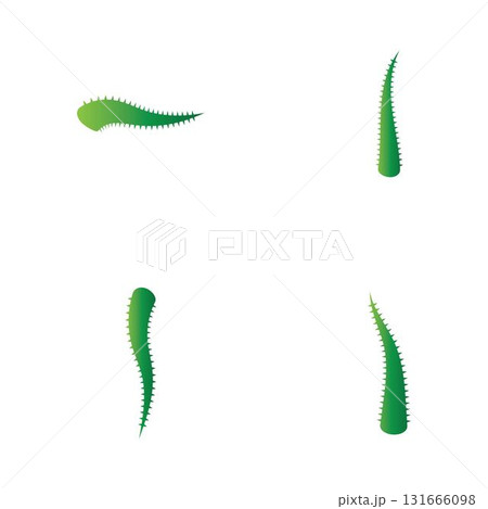 Aloe vera logo vector ilustration template 131666098