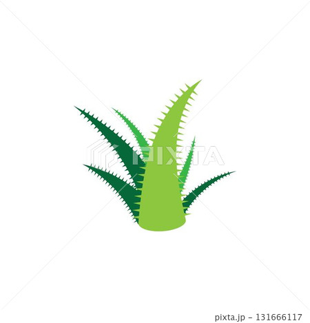 Aloe vera logo vector ilustration template 131666117