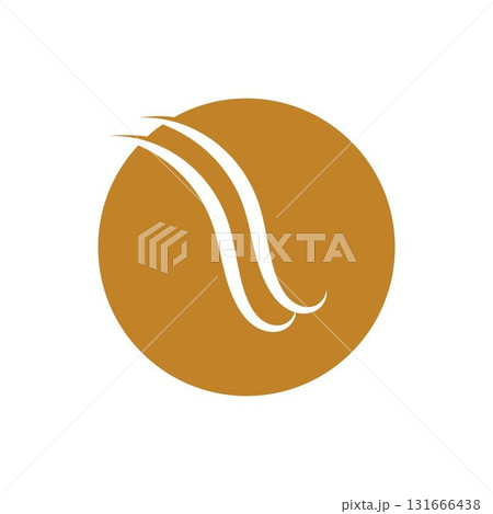 hair wave logo vector illustration design hair wave logo vector illustration design 131666438