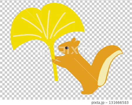 一隻松鼠叼著掉落的銀杏葉 131666583