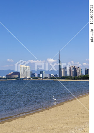 福岡市マリナタウン海浜公園とシーサイドももち 福岡市マリナタウン海浜公園とシーサイドももち 131666713