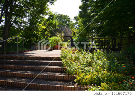 水戸市植物園　2025-8-31　＃3 131667170
