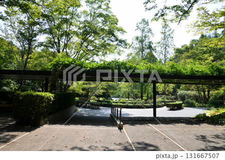 水戸市植物公園　2025-8-31　＃11 131667507