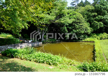 水戸市植物公園　2025-8-31　＃28 131667796