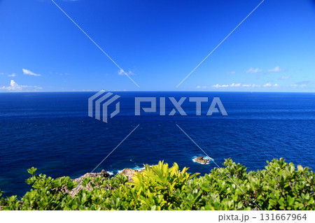 足摺半島から見る青い海と青い空 131667964