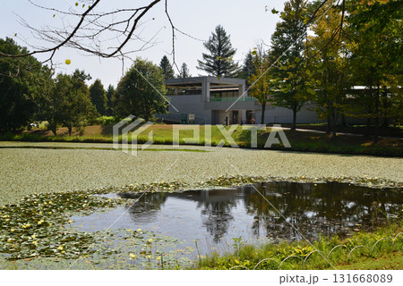 水戸市植物公園　2025-8-31　＃31 131668089