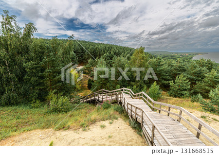 Curonian Spit National Park. Zelenogradsk, Kaliningrad Oblast, Russia. 131668515