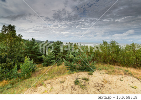Curonian Spit National Park. Zelenogradsk, Kaliningrad Oblast, Russia. 131668519