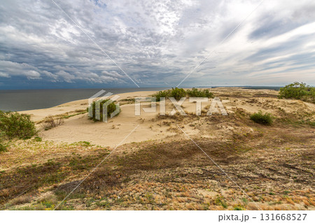 Curonian Spit National Park. Zelenogradsk, Kaliningrad Oblast, Russia. Curonian Spit National Park. Zelenogradsk, Kaliningrad Oblast, Russia. 131668527