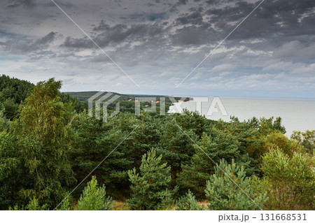 Curonian Spit National Park. Zelenogradsk, Kaliningrad Oblast, Russia. 131668531