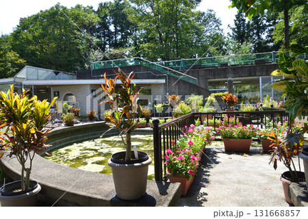 水戸市植物公園　2025-8-31　＃52 131668857