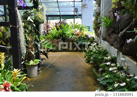 水戸市植物公園　2025-8-31　＃62 131668991