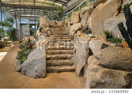 水戸市植物公園　2025-8-31　＃63 131668992