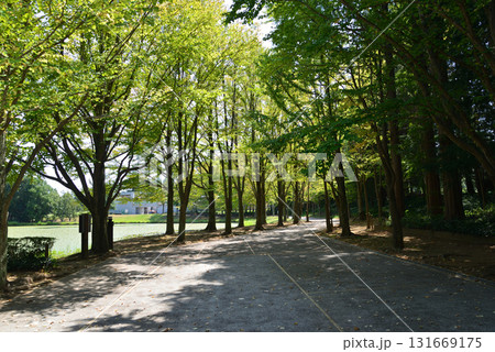 水戸市植物公園　2025-8-31　＃79 131669175