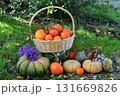 Vintage still life with pumpkins in the basket, flowers and decorations outside, thanksgiving day background, autumn calendar season concept Vintage still life with pumpkins in the basket, flowers and decorations outside, thanksgiving day background, autumn calendar season concept 131669826