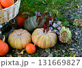 Vintage still life with pumpkins, flowers and decorations outside, thanksgiving day background, autumn calendar season concept Vintage still life with pumpkins, flowers and decorations outside, thanksgiving day background, autumn calendar season concept 131669827