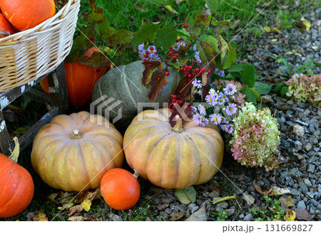 Vintage still life with pumpkins, flowers and decorations outside, thanksgiving day background, autumn calendar season concept 131669827