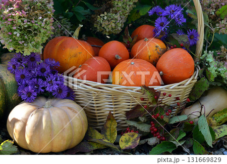 Vintage still life with pumpkins in the basket, flowers and decorations outside, thanksgiving day background, autumn calendar season concept Vintage still life with pumpkins in the basket, flowers and decorations outside, thanksgiving day background, autumn calendar season concept 131669829