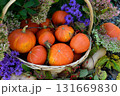 Vintage still life with pumpkins in the basket, flowers and decorations outside, thanksgiving day background, autumn calendar season concept Vintage still life with pumpkins in the basket, flowers and decorations outside, thanksgiving day background, autumn calendar season concept 131669830