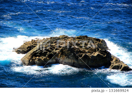 青い海と岩礁 131669924