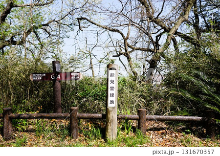 能見堂緑地 131670357