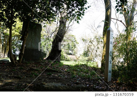 能見堂緑地　能見堂跡 131670359