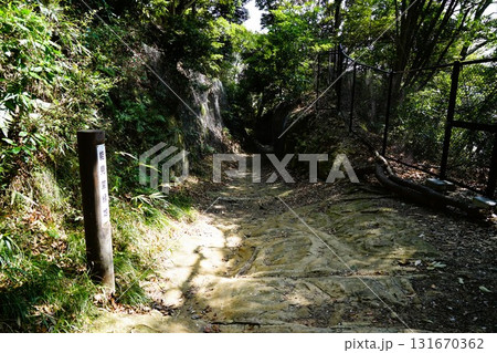 能見堂緑地 能見堂緑地 131670362