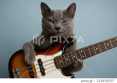 エレキベースを演奏するロシアンブルーの猫　バンドマン　ベーシスト 131670557