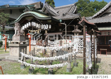 半田市住吉神社のおみくじ結び所 半田市住吉神社のおみくじ結び所 131671345