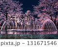 噴水と桜 131671546