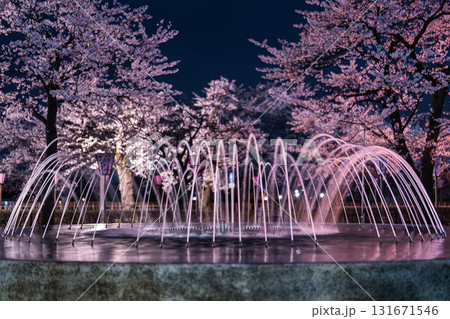 噴水と桜 131671546