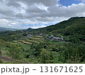 愛媛県川内町の田舎集落と段々畑｜緑豊かな山々に囲まれた日本の原風景 131671625