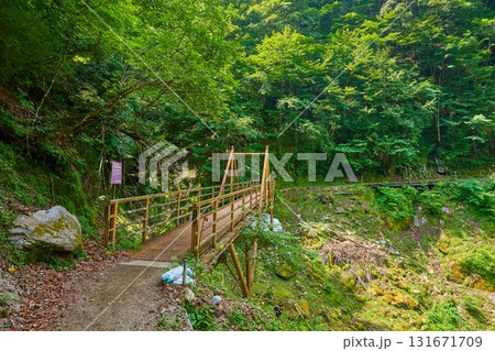 山梨県山梨市 西沢渓谷の沢ぐるみ沢に架かるさわぐるみ橋(方丈橋) 131671709