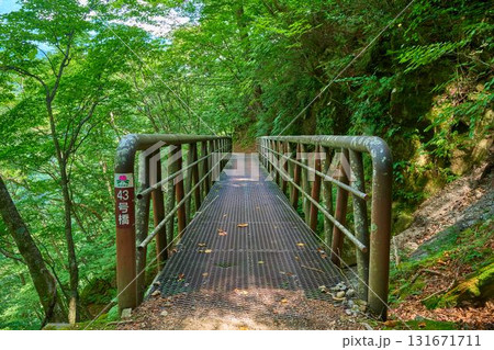山梨県山梨市 西沢渓谷に架かる43号橋 131671711