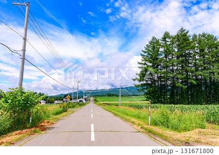 北海道 十勝の広大な農場 131671800