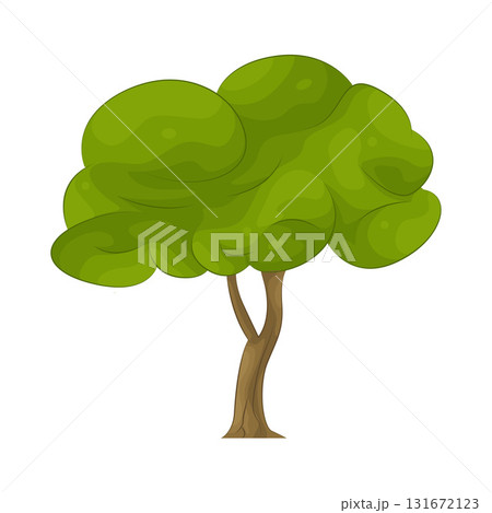 Illustration of tree 131672123