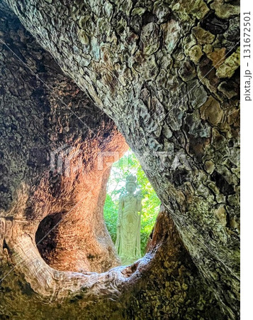 楠の間から見える子授け観音像 楠の間から見える子授け観音像 131672501