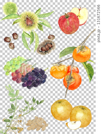 水彩で描いた秋の味覚 果物と実のセットイラスト【手描き】白バック 切り抜き 131672566