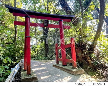 赤い鳥居 赤い鳥居 131672601