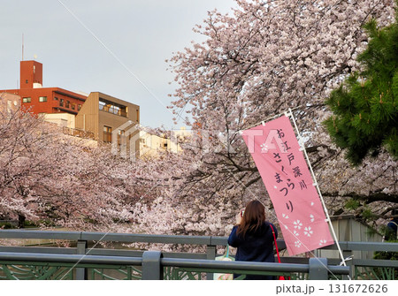 桜見物・大横川・東京江東区 131672626