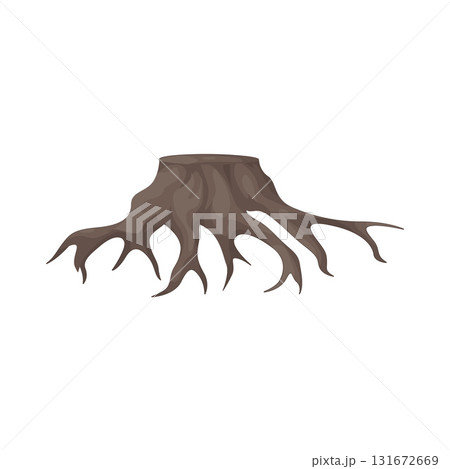 Illustration of root Illustration of root 131672669