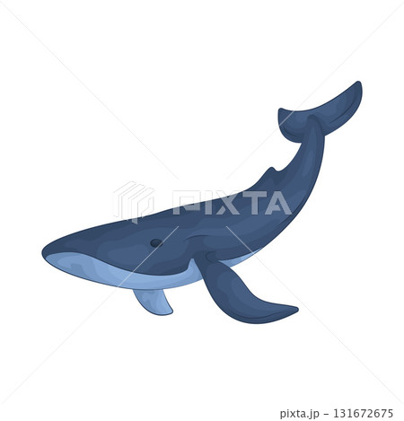 Illustration of whale 131672675