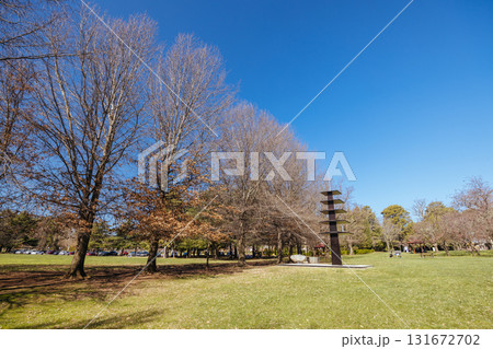 Canberra Nara Peace Park in Australia 131672702