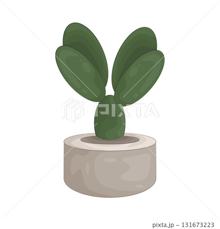 Illustration of cactus pot 131673223
