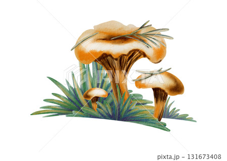 Whimsical chanterelle mushrooms with needles and a tiny twig in grass evoking autumns charm,in soft watercolor washes and colored pencil strokes.For storytelling in childrens books and nature-themed Whimsical chanterelle mushrooms with needles and a tiny twig in grass evoking autumns charm,in soft watercolor washes and colored pencil strokes.For storytelling in childrens books and nature-themed 131673408