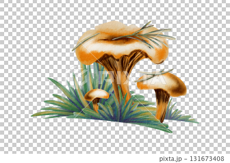 Whimsical chanterelle mushrooms with needles and a tiny twig in grass evoking autumns charm,in soft watercolor washes and colored pencil strokes.For storytelling in childrens books and nature-themed Whimsical chanterelle mushrooms with needles and a tiny twig in grass evoking autumns charm,in soft watercolor washes and colored pencil strokes.For storytelling in childrens books and nature-themed 131673408
